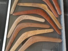 14″ BOOMERANG