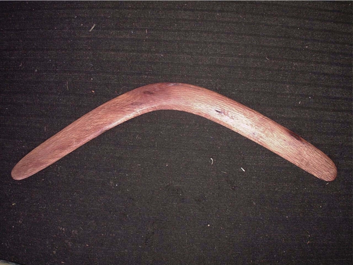 14″ BOOMERANG