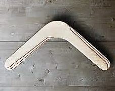 14″ BOOMERANG