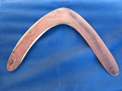 14″ BOOMERANG